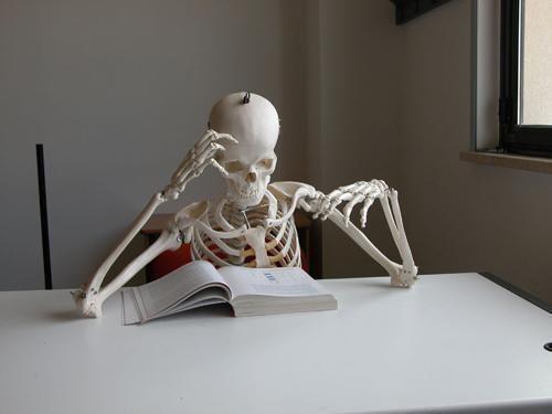 skeleton-reading.jpg